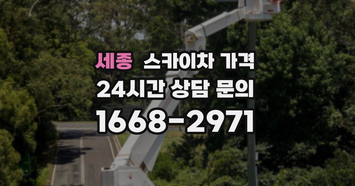 세종 스카이차 가격