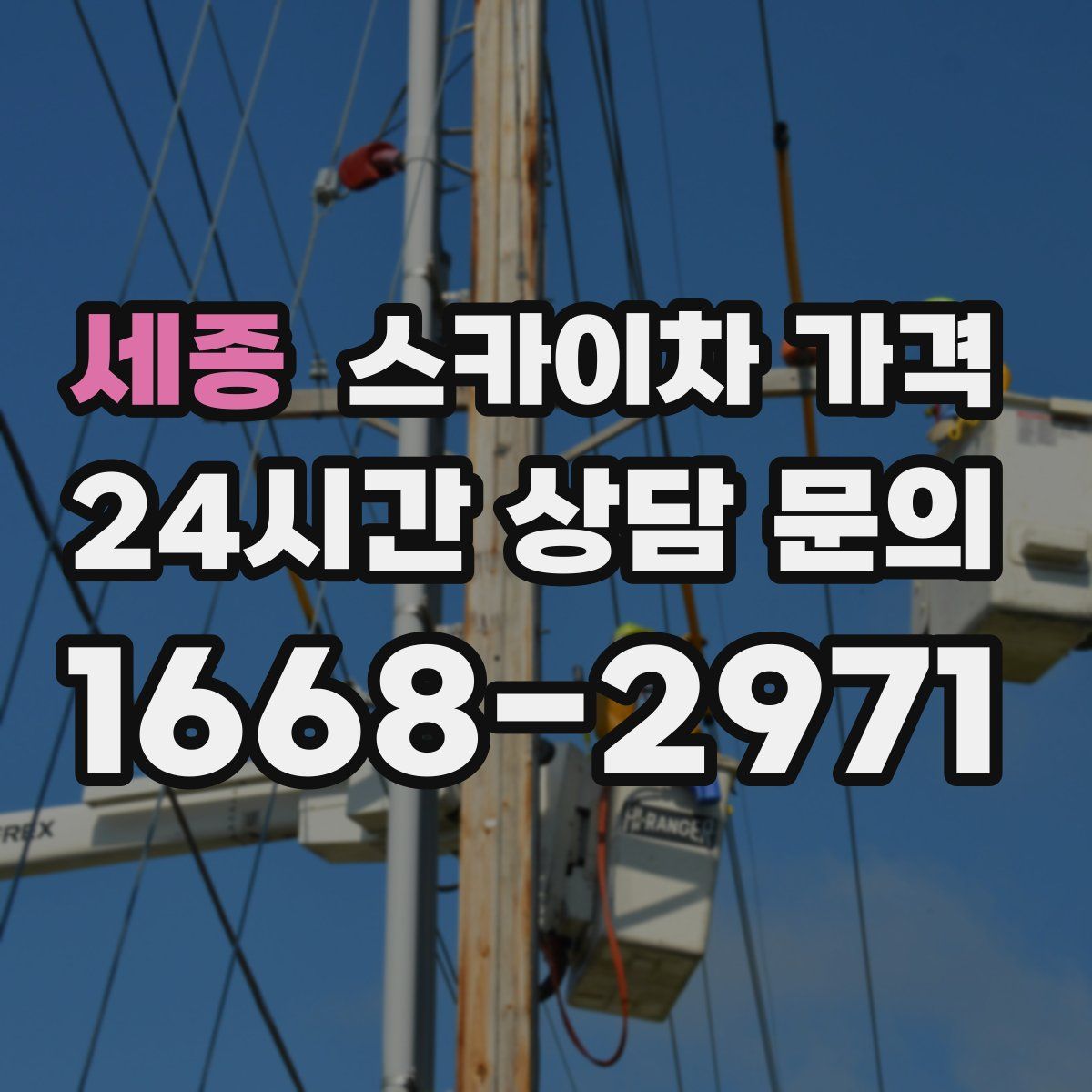 세종 스카이차 가격