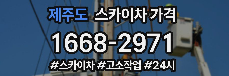 제주도 스카이차 가격