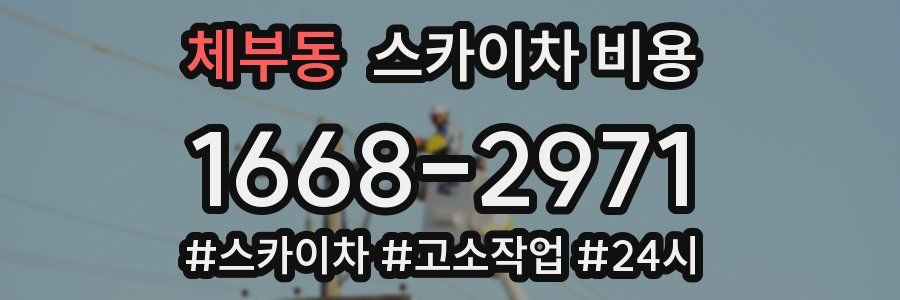 체부동 스카이차 비용