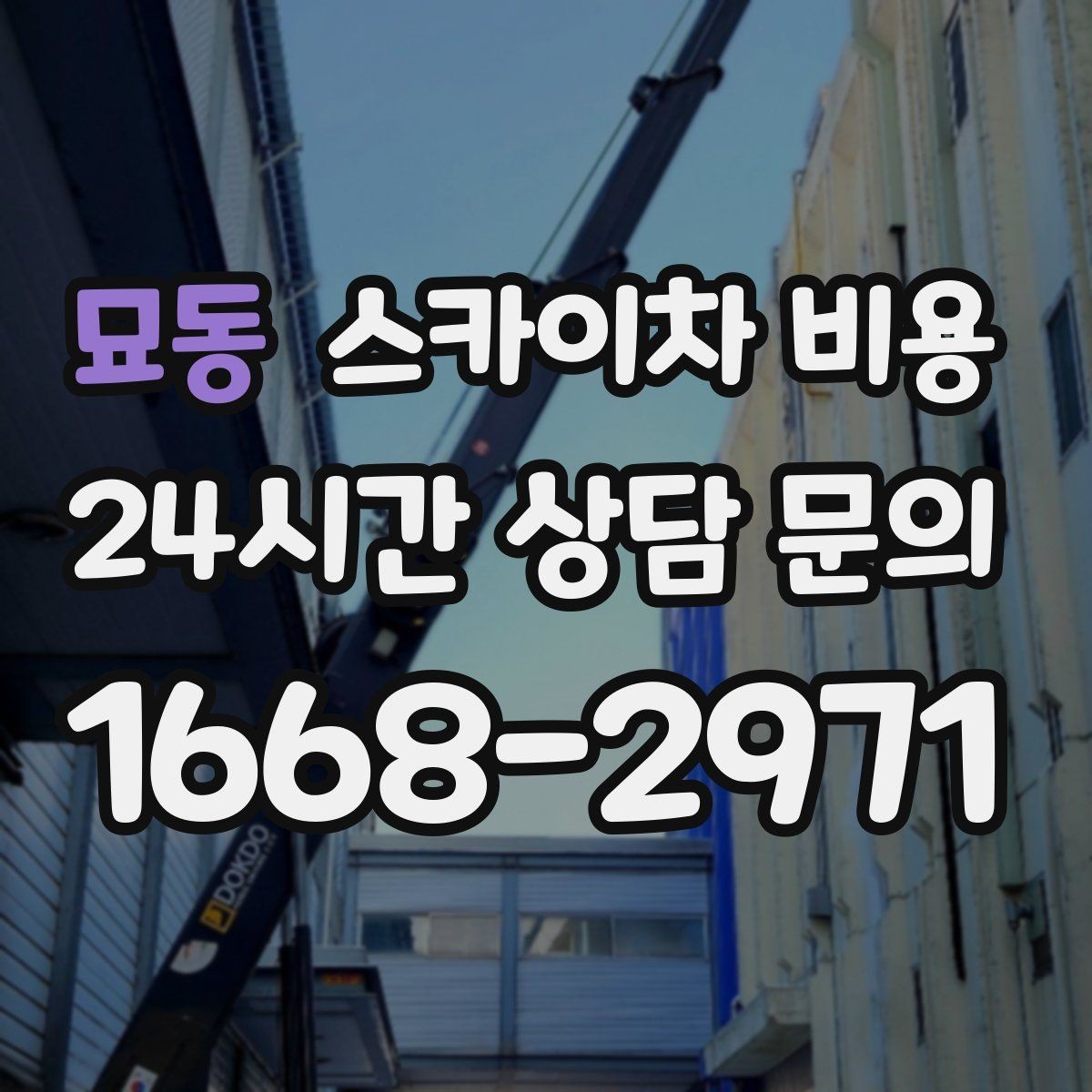 묘동 스카이차 비용 통신선 처짐 정리는 구간 수가 중요합니다