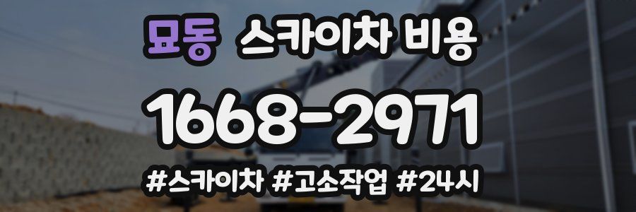 묘동 스카이차 비용