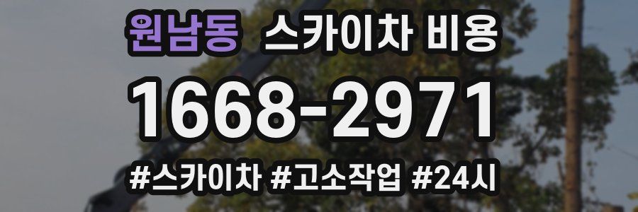 원남동 스카이차 비용