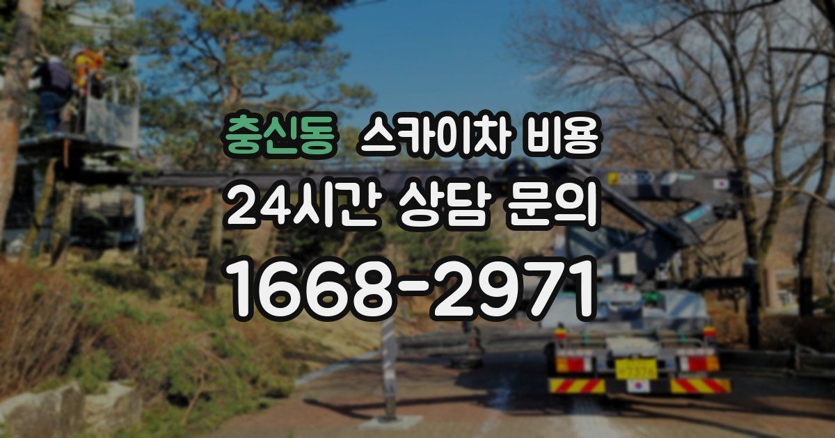 충신동 스카이차 비용