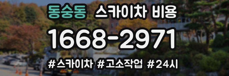 동숭동 스카이차 비용