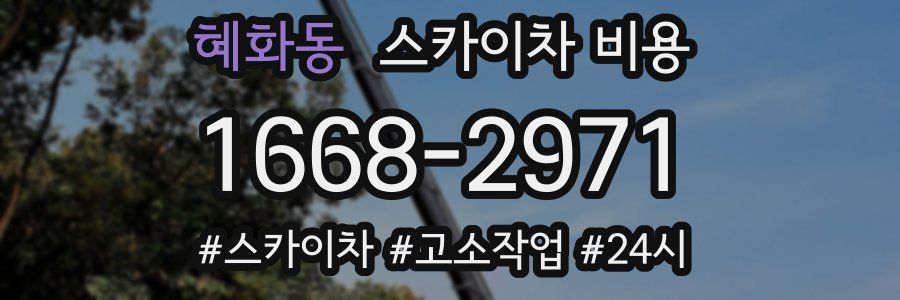 혜화동 스카이차 비용