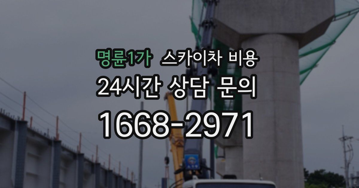 명륜1가 스카이차 비용