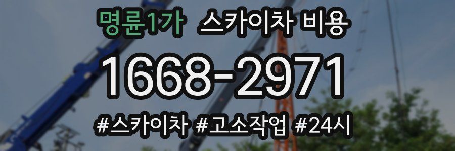 명륜1가 스카이차 비용