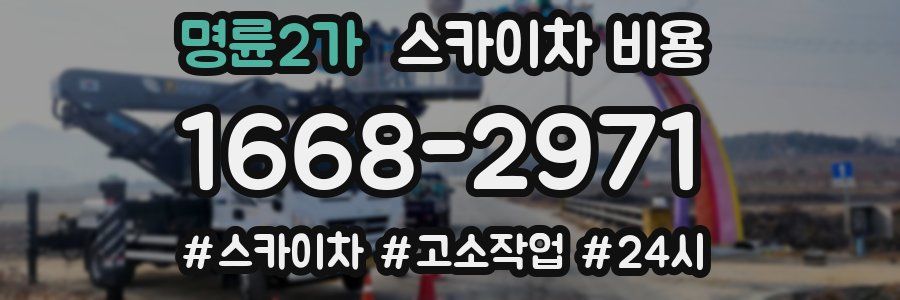 명륜2가 스카이차 비용