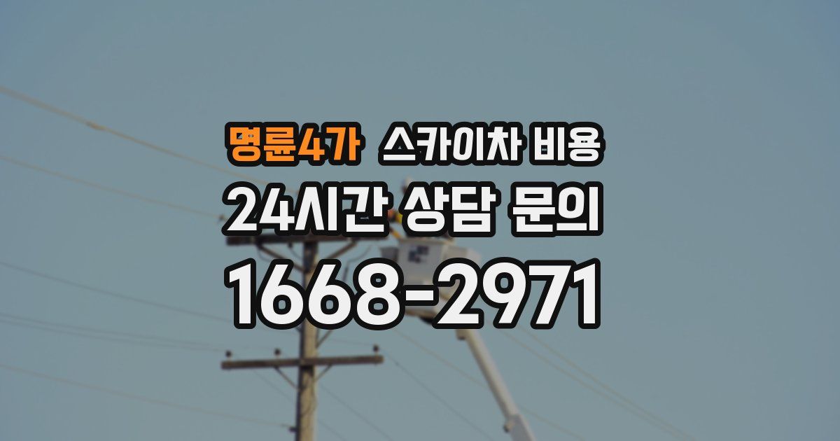 명륜4가 스카이차 비용