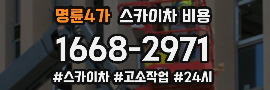 명륜4가 스카이차 비용
