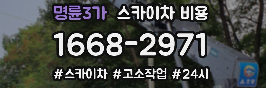 명륜3가 스카이차 비용