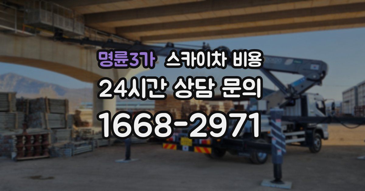 명륜3가 스카이차 비용