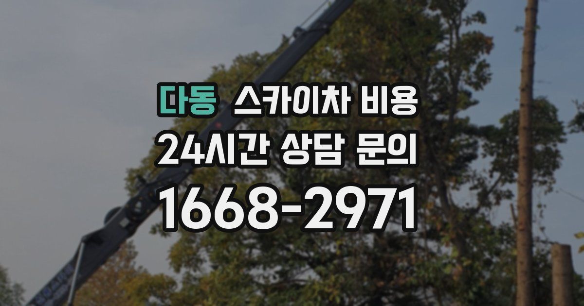 다동 스카이차 비용