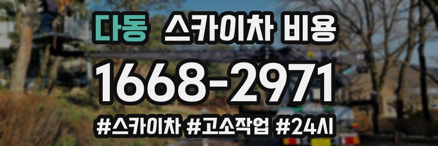 다동 스카이차 비용