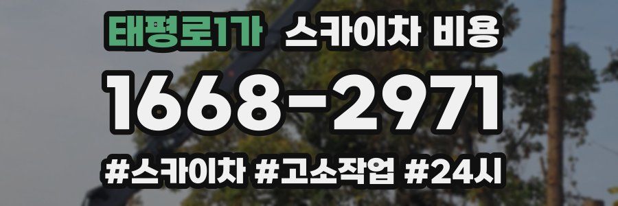 태평로1가 스카이차 비용