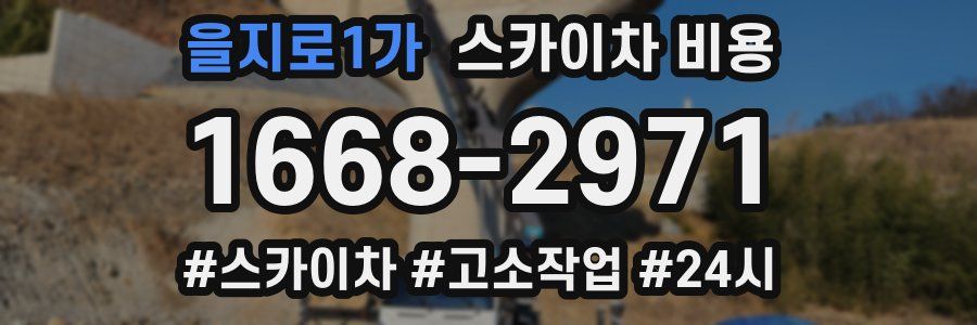 을지로1가 스카이차 비용