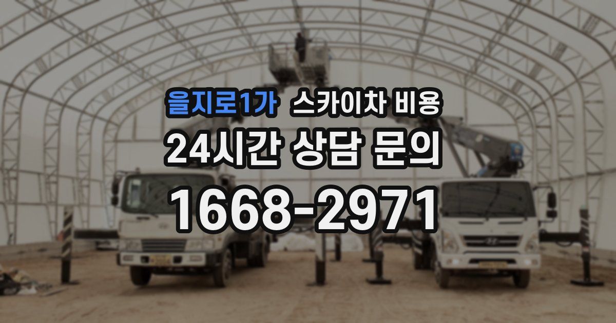 을지로1가 스카이차 비용