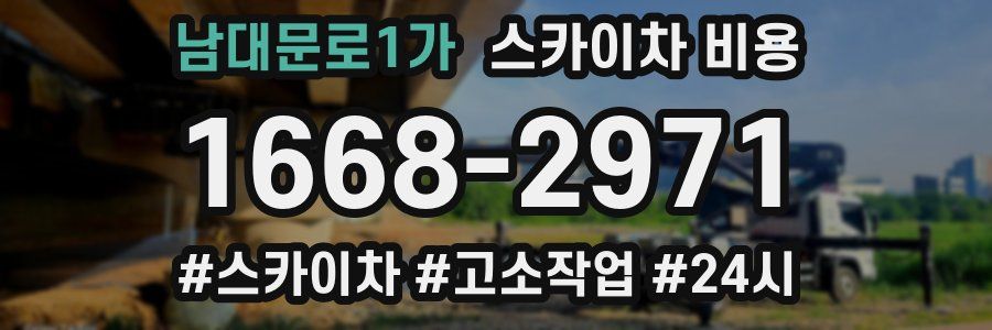 남대문로1가 스카이차 비용