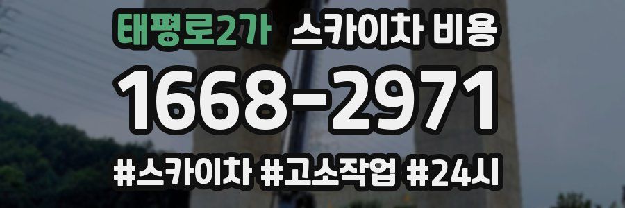 태평로2가 스카이차 비용