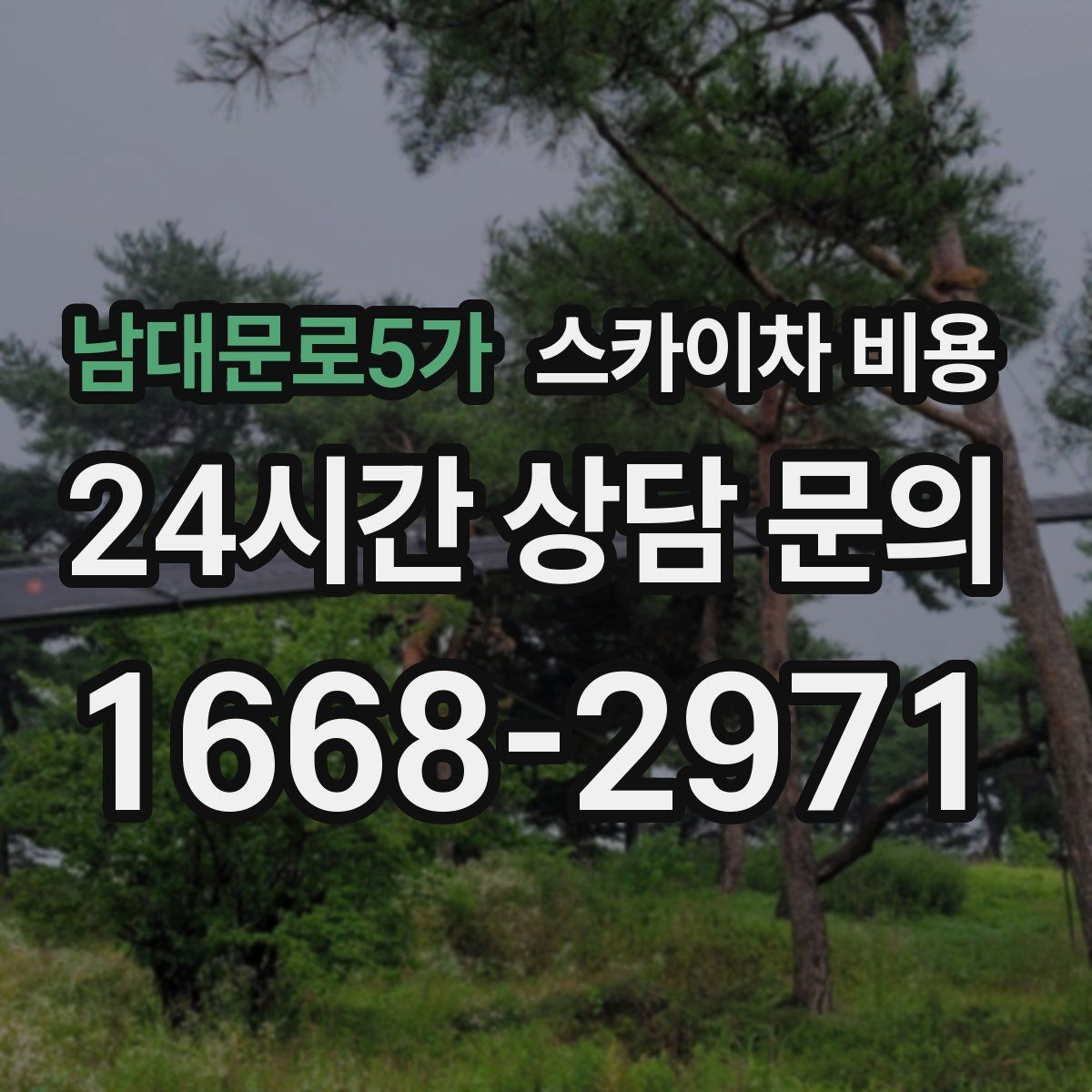남대문로5가 스카이차 비용 결국 비용은 '현장 조건'이 좌우합니다