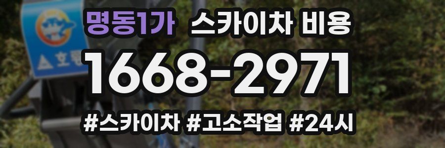 명동1가 스카이차 비용