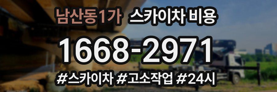 남산동1가 스카이차 비용