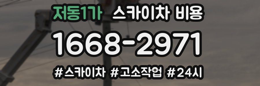 저동1가 스카이차 비용