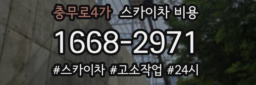 충무로4가 스카이차 비용