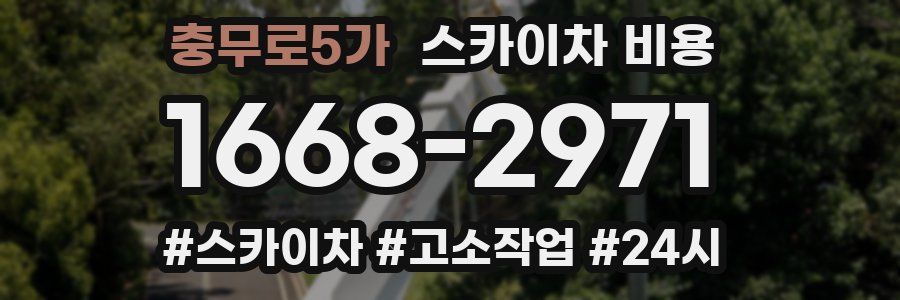 충무로5가 스카이차 비용