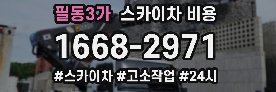 필동3가 스카이차 비용