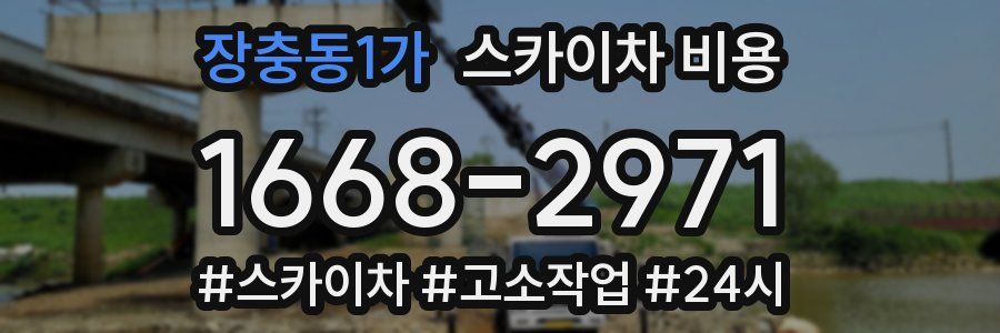 장충동1가 스카이차 비용