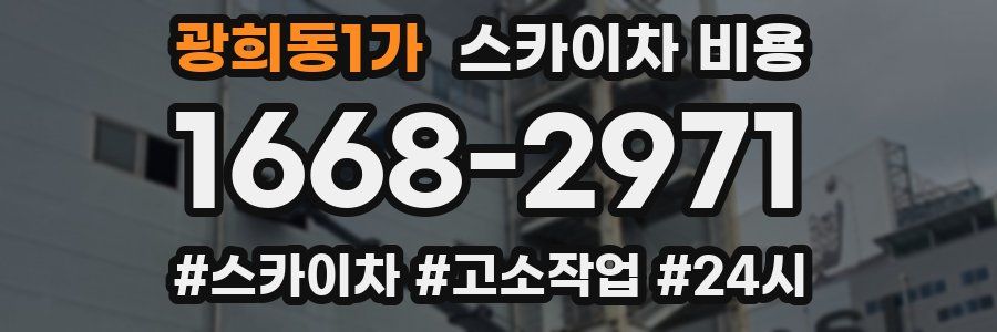 광희동1가 스카이차 비용
