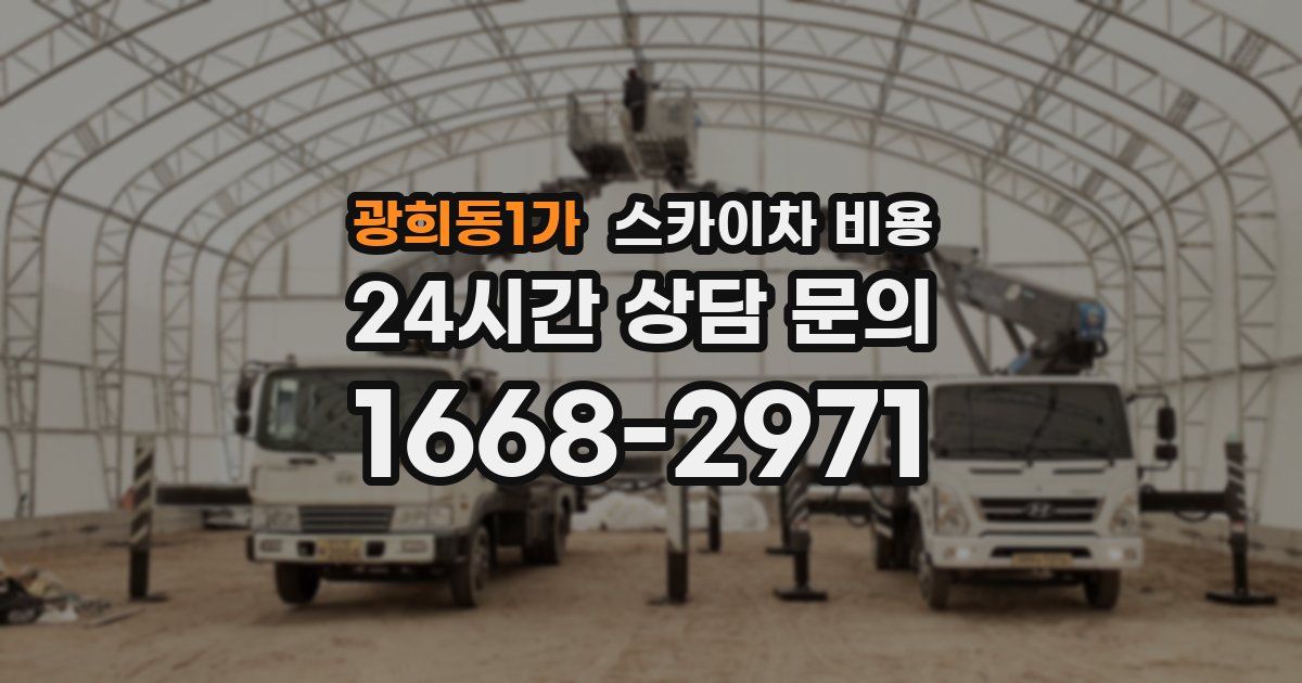 광희동1가 스카이차 비용