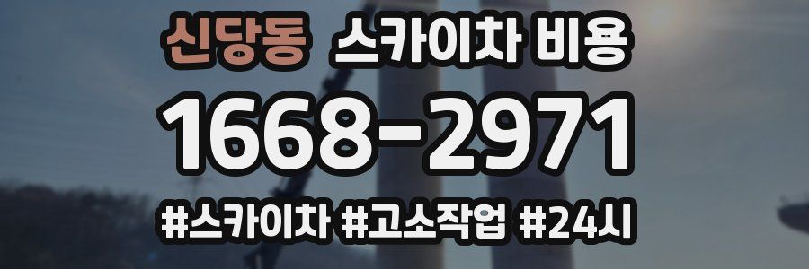 신당동 스카이차 비용