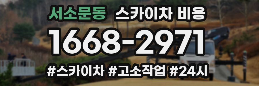 서소문동 스카이차 비용