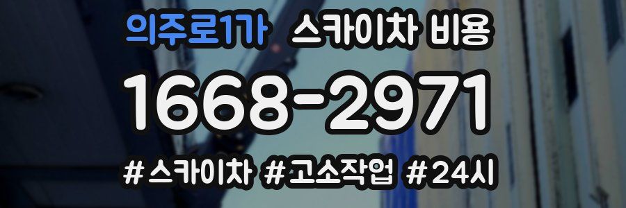 의주로1가 스카이차 비용