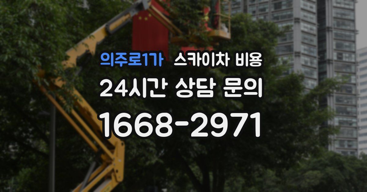 의주로1가 스카이차 비용