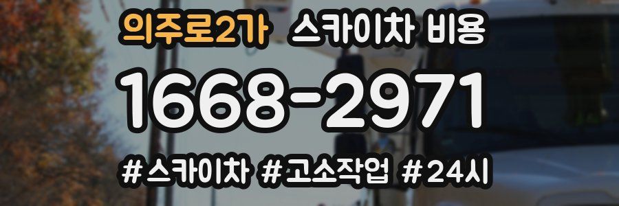 의주로2가 스카이차 비용