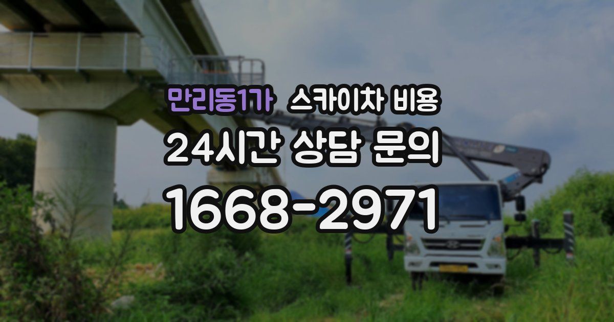 만리동1가 스카이차 비용