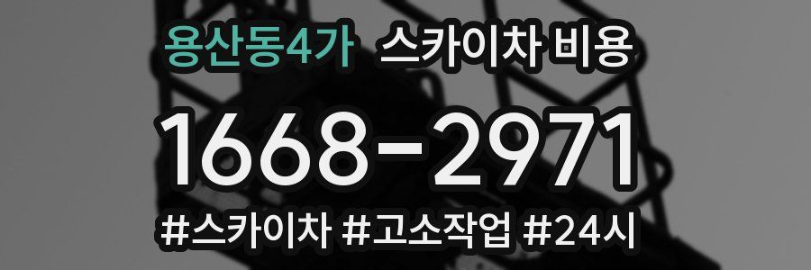 용산동4가 스카이차 비용