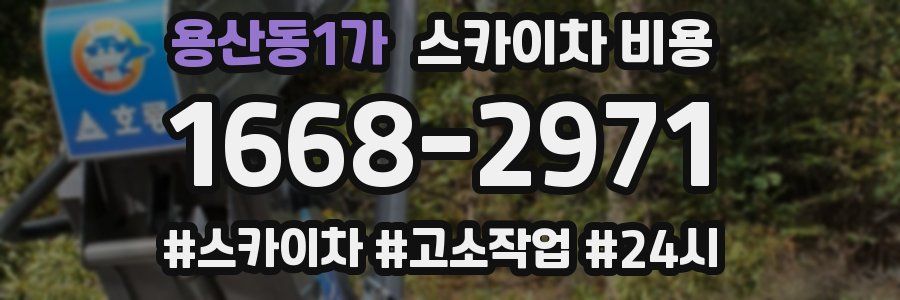 용산동1가 스카이차 비용