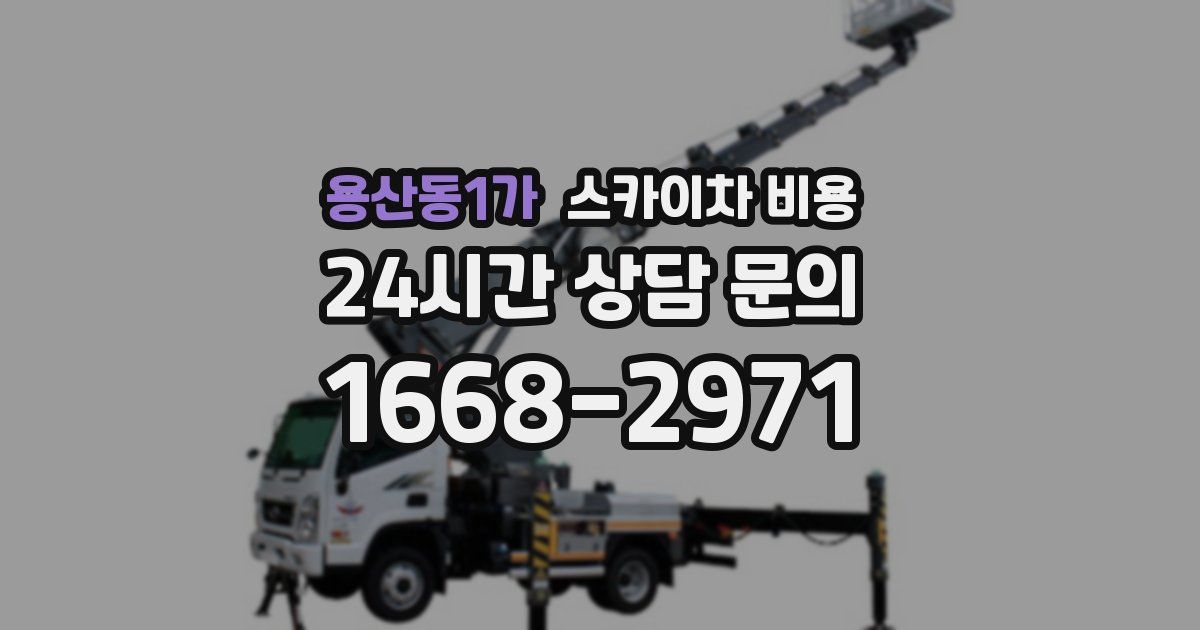 용산동1가 스카이차 비용