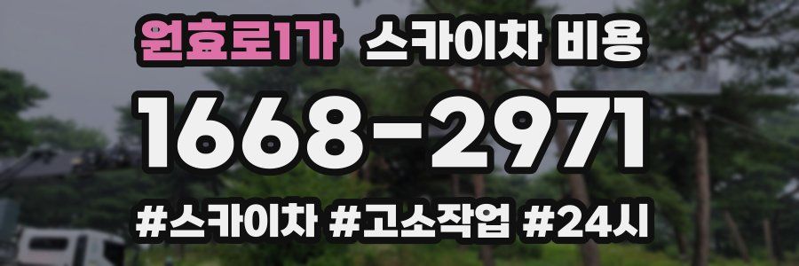 원효로1가 스카이차 비용