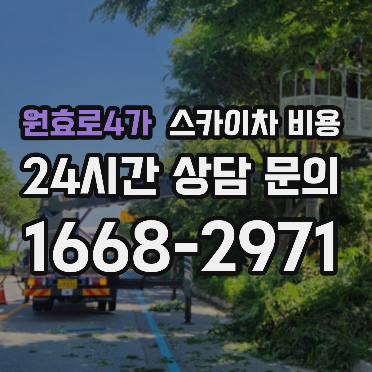 원효로4가 스카이차 비용 몇 미터 작업인지 모를 때 확인 방법