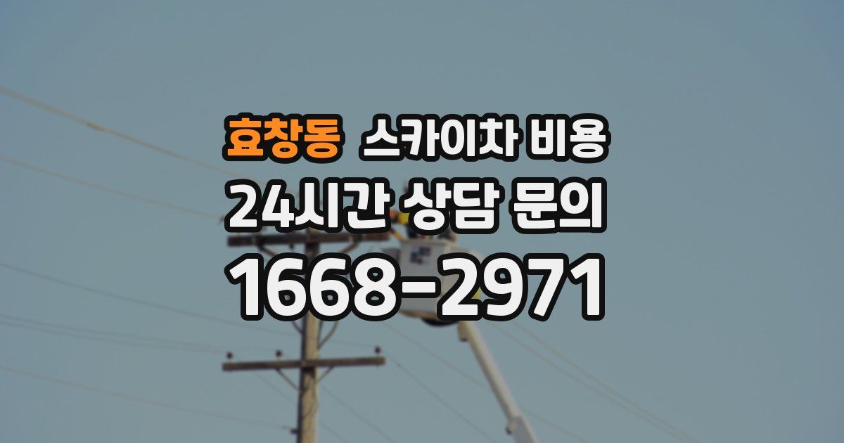 효창동 스카이차 비용