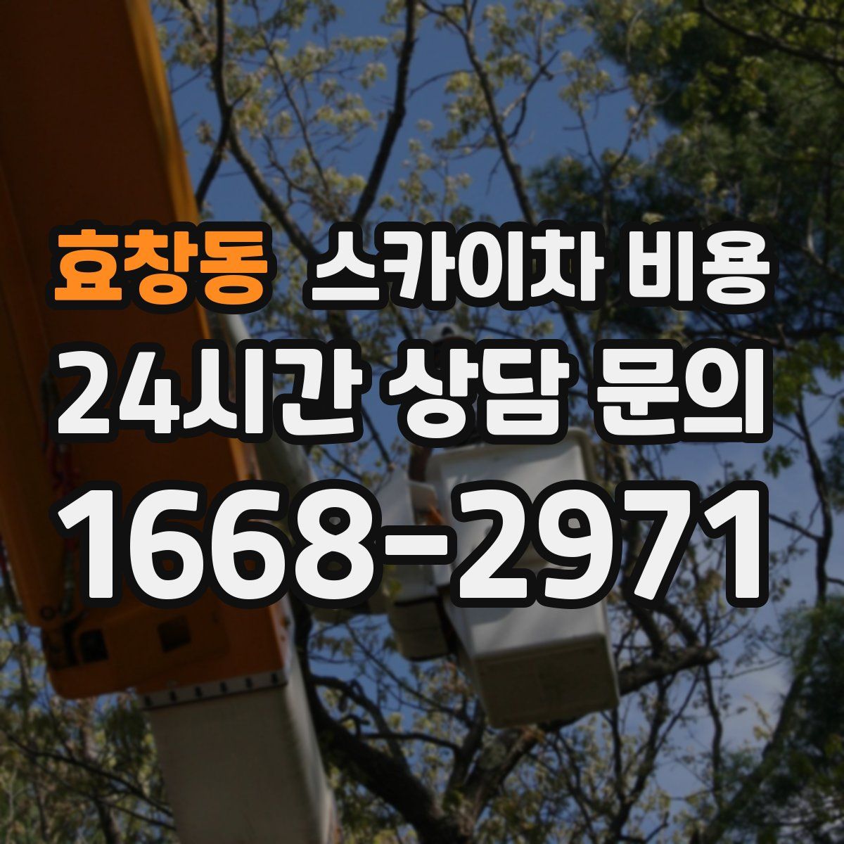 효창동 스카이차 비용