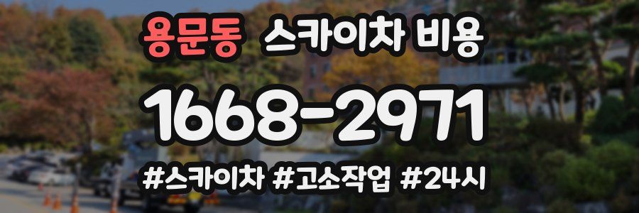 용문동 스카이차 비용