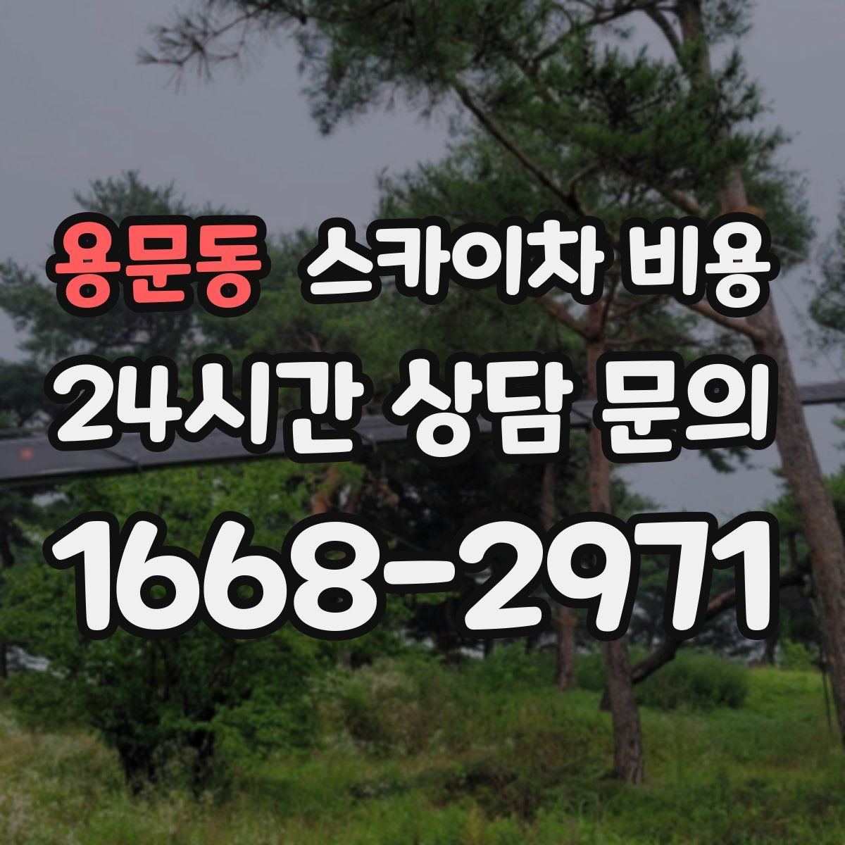 용문동 스카이차 비용