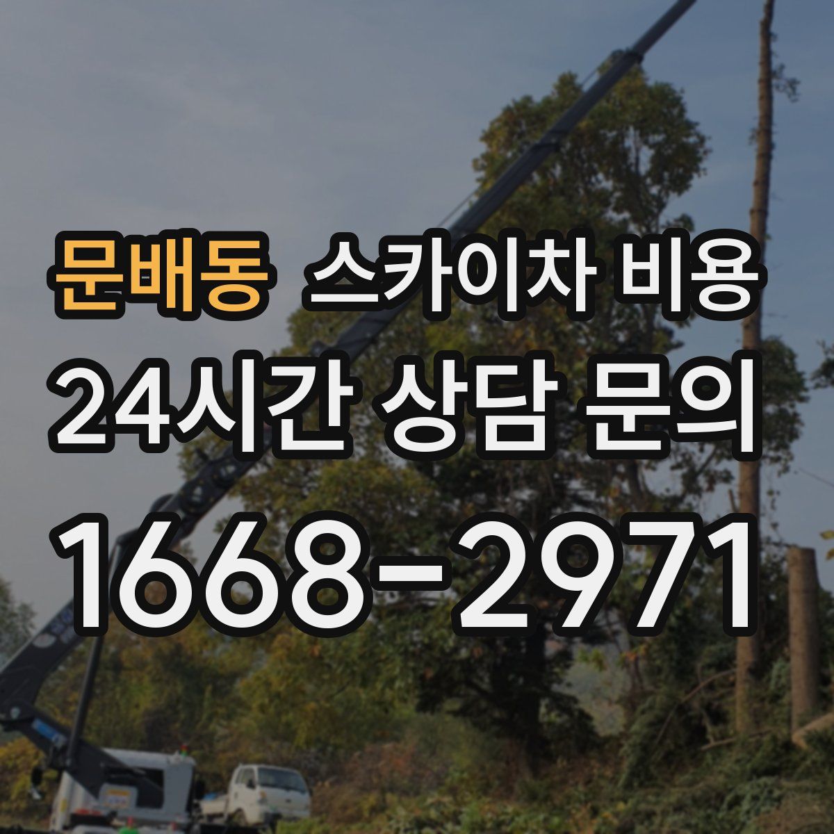 문배동 스카이차 비용